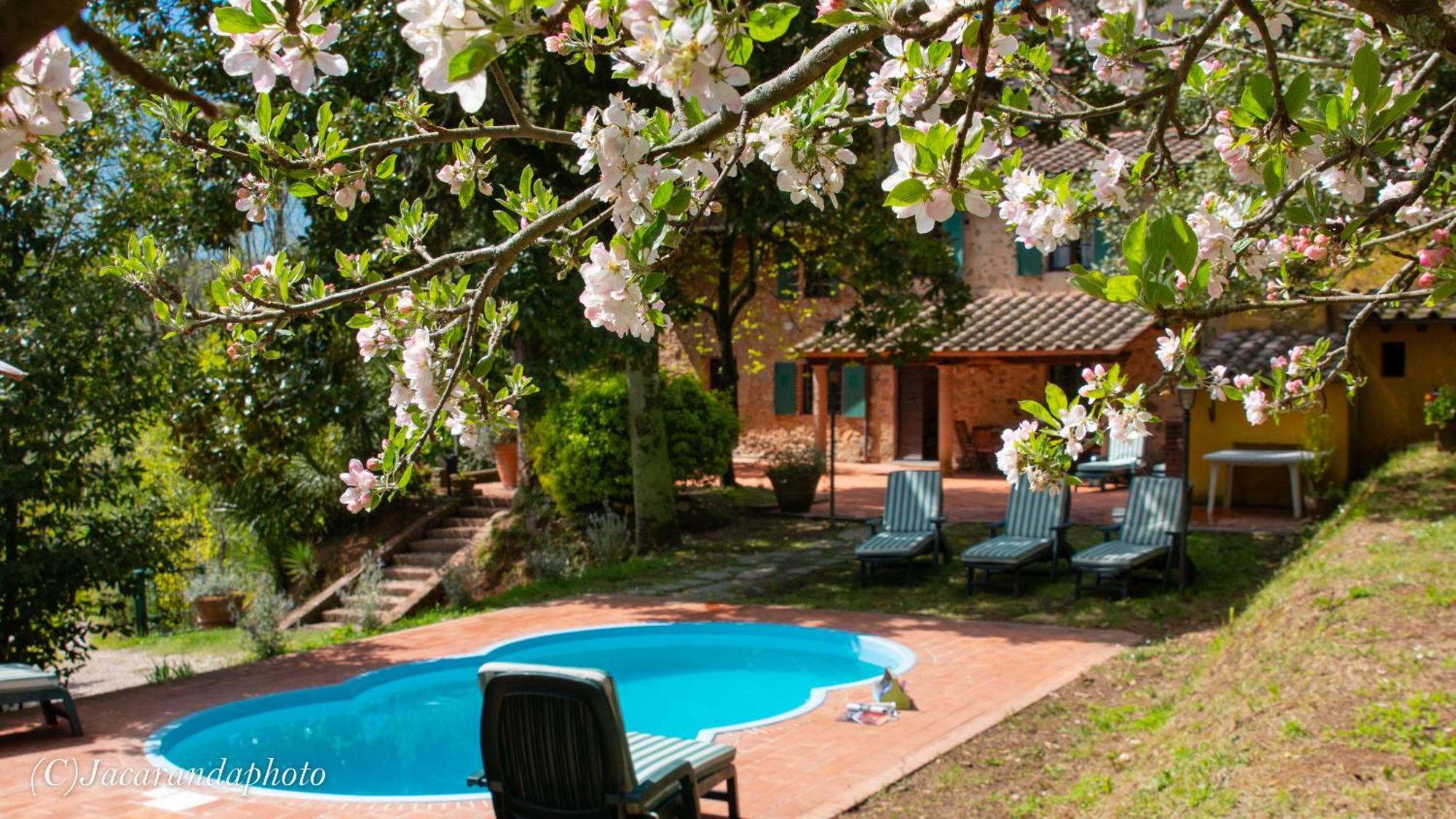 Villa La Pieve Камайоре Экстерьер фото